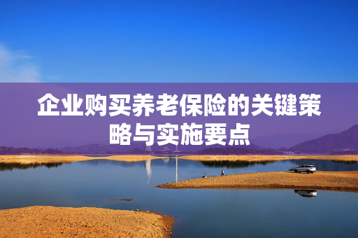 企业购买养老保险的关键策略与实施要点