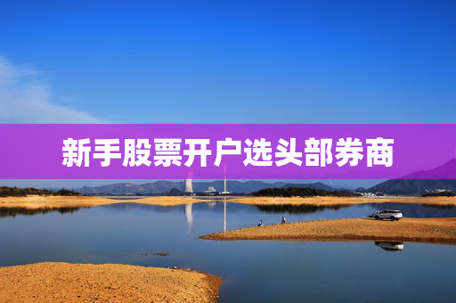 新手股票开户选头部券商