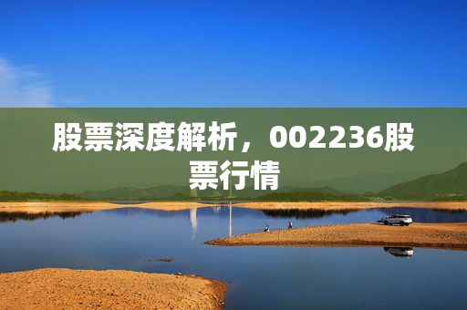 股票深度解析，002236股票行情