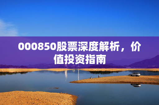000850股票深度解析，价值投资指南