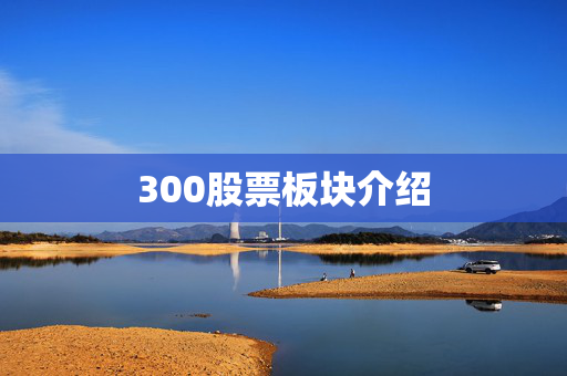 姚锐锋 第4页