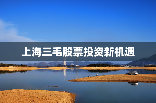 上海三毛股票投资新机遇