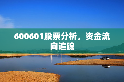 600601股票分析，资金流向追踪