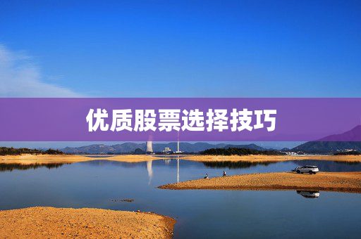 优质股票选择技巧