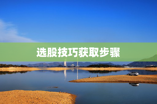 选股技巧获取步骤
