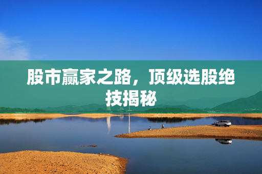 股市赢家之路，顶级选股绝技揭秘