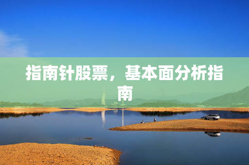 指南针股票，基本面分析指南