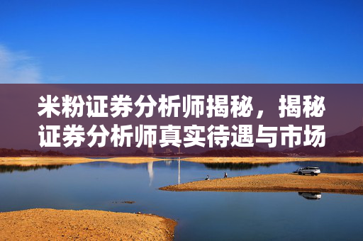 米粉证券分析师揭秘，揭秘证券分析师真实待遇与市场动态