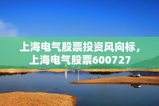 上海电气股票投资风向标，上海电气股票600727