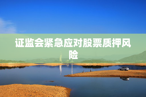 证监会紧急应对股票质押风险