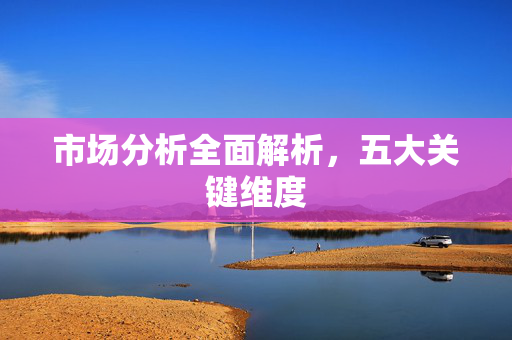 市场分析全面解析，五大关键维度