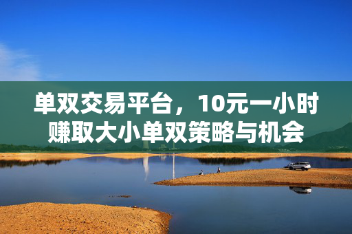 单双交易平台，10元一小时赚取大小单双策略与机会