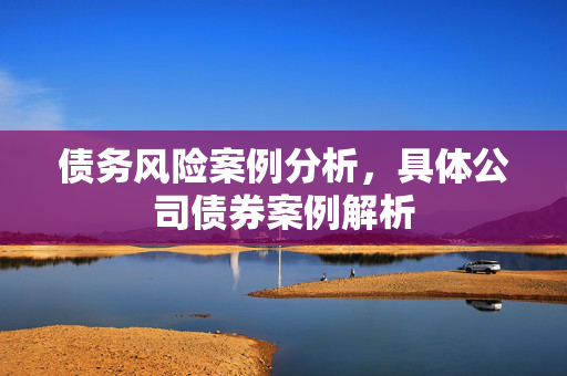 债务风险案例分析，具体公司债券案例解析