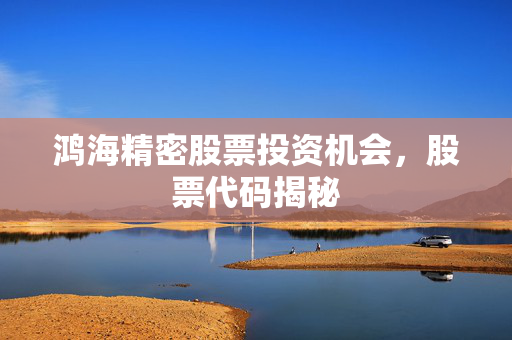 鸿海精密股票投资机会，股票代码揭秘