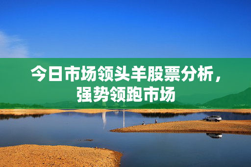 今日市场领头羊股票分析，强势领跑市场