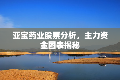 亚宝药业股票分析，主力资金图表揭秘