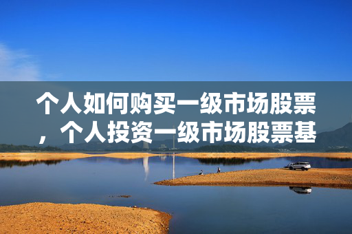 个人如何购买一级市场股票，个人投资一级市场股票基金的方法