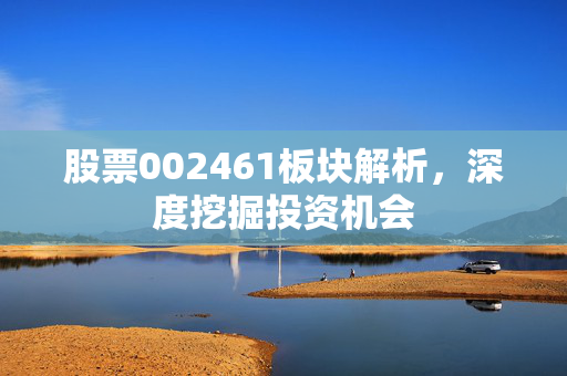 股票002461板块解析，深度挖掘投资机会