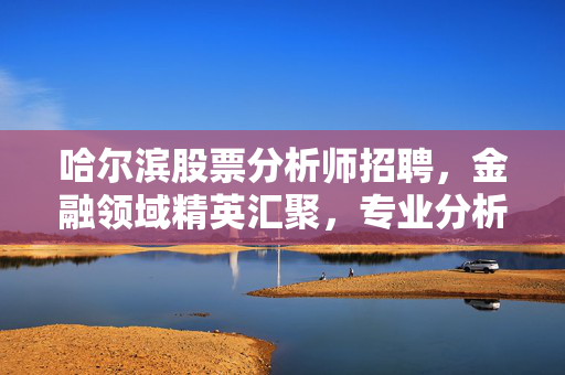 哈尔滨股票分析师招聘，金融领域精英汇聚，专业分析师等你来挑战