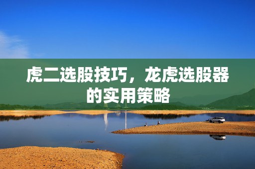 虎二选股技巧，龙虎选股器的实用策略