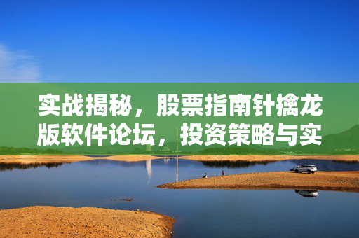 实战揭秘，股票指南针擒龙版软件论坛，投资策略与实战指南