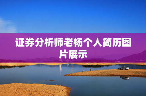 证券分析师老杨个人简历图片展示