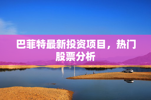 巴菲特最新投资项目，热门股票分析