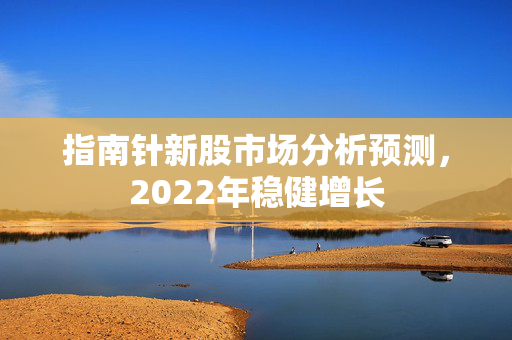 指南针新股市场分析预测，2022年稳健增长
