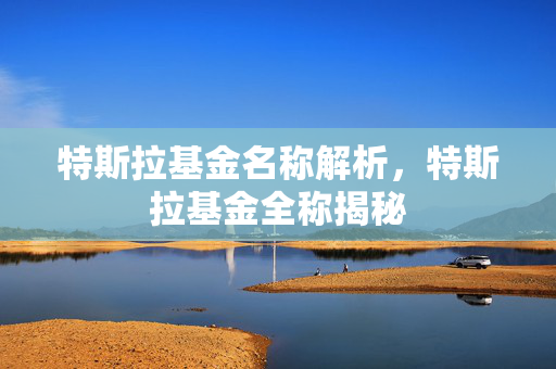 特斯拉基金名称解析，特斯拉基金全称揭秘