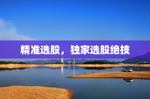精准选股，独家选股绝技
