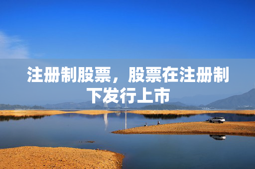 注册制股票，股票在注册制下发行上市