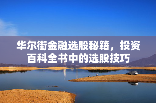 华尔街金融选股秘籍，投资百科全书中的选股技巧