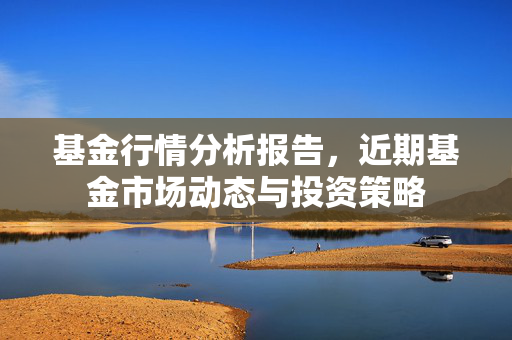 基金行情分析报告，近期基金市场动态与投资策略