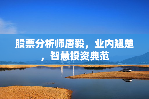 股票分析师唐毅，业内翘楚，智慧投资典范