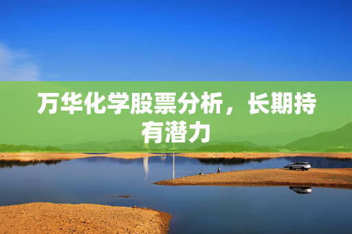 万华化学股票分析，长期持有潜力
