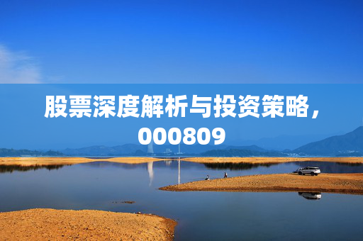 股票深度解析与投资策略，000809