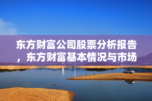 东方财富公司股票分析报告，东方财富基本情况与市场前景
