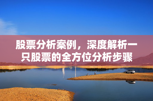 股票分析案例，深度解析一只股票的全方位分析步骤