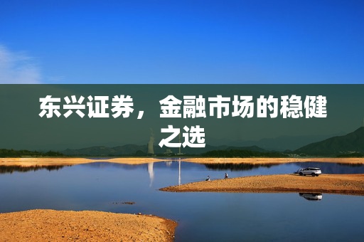 东兴证券，金融市场的稳健之选