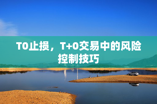 T0止损，T+0交易中的风险控制技巧