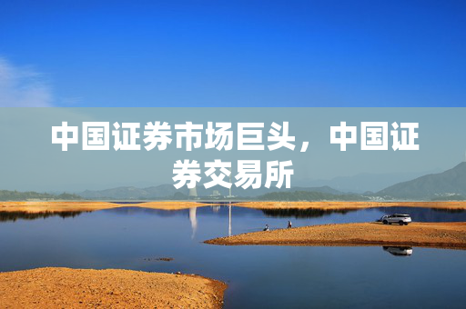 中国证券市场巨头，中国证券交易所