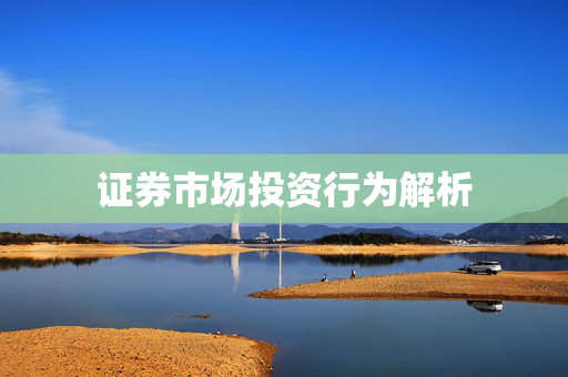 证券市场投资行为解析