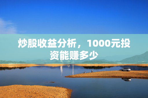 炒股收益分析，1000元投资能赚多少