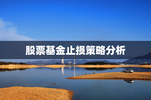 股票基金止损策略分析