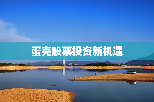 蛋壳股票投资新机遇