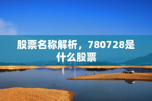 股票名称解析，780728是什么股票
