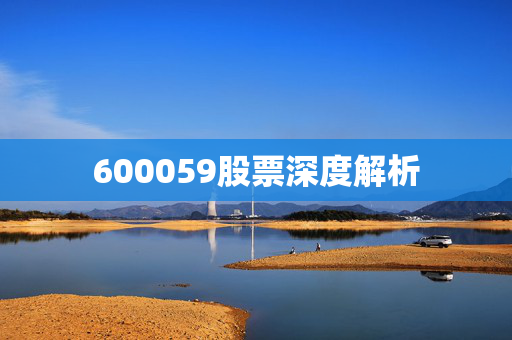 600059股票深度解析