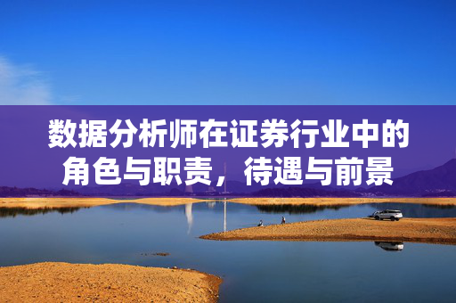 数据分析师在证券行业中的角色与职责，待遇与前景