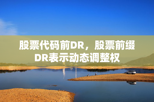 股票代码前DR，股票前缀DR表示动态调整权