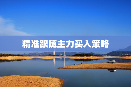 精准跟随主力买入策略